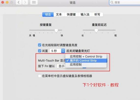 在第一个“multi-touch bar 显示”中选择“展开的 control strip”。